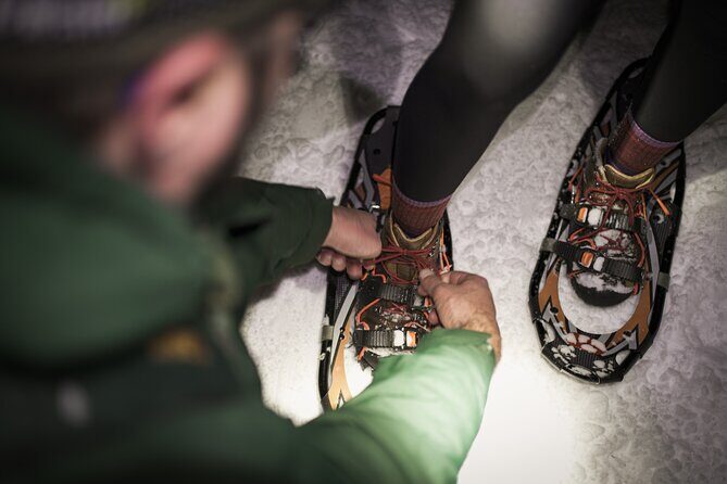 Gatineau Park Nocturnal Snowshoeing Adventure & Dinner - From Ottawa & Gatineau - Frequently Asked Questions