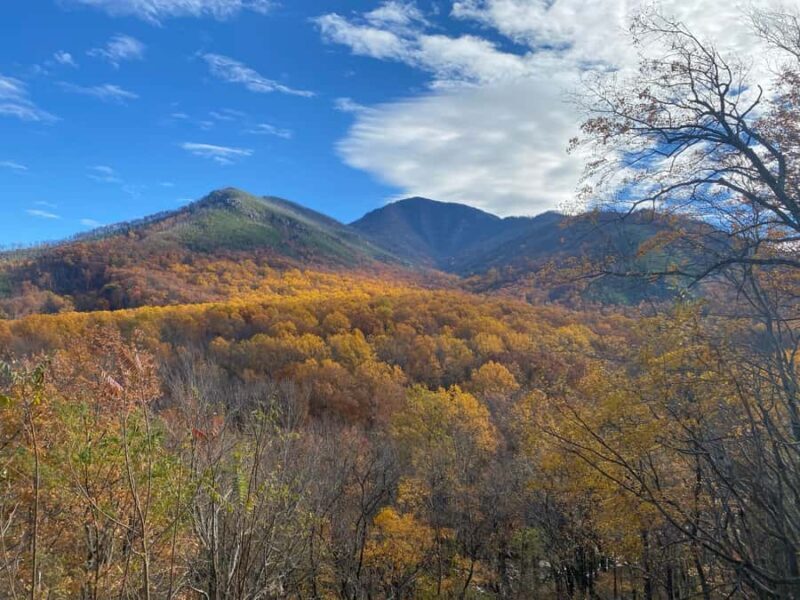 Gatlinburg: Great Smoky Mountains National Park Classic Tour - An In-Depth Look at the Smoky Mountains Classic Tour
