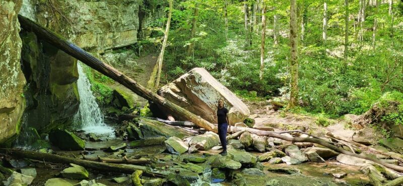 Gatlinburg: Great Smoky Mts National Park Waterfall Tour - Pricing & Value