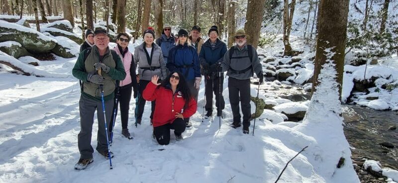 Gatlinburg: Great Smoky Mts National Park Waterfall Tour - Who Is This Tour Best For?