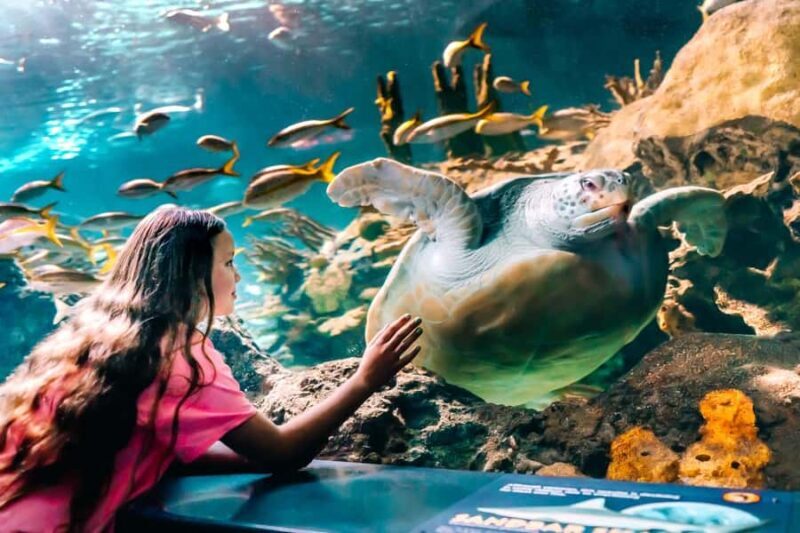 Gatlinburg: Ripley's Aquarium of the Smokies & Combo Ticket - Analyzing the Value