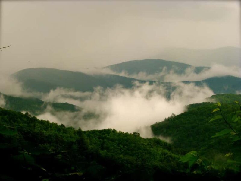 Gatlinburg: Smoky Mountain Appalachian Bald Guided Hike - Who Is This Tour Best For?