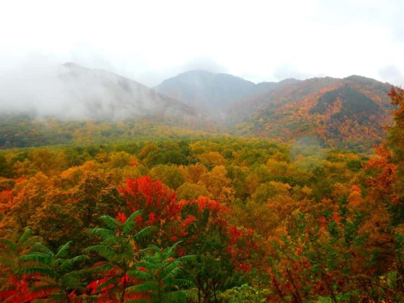 Gatlinburg: Smoky Mountains Fall Foliage Guided Tour - Final Thoughts