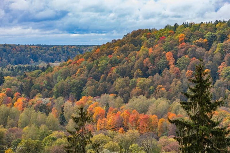 Gauja National Park Guided Hiking Tour - Who Will Love This Tour?