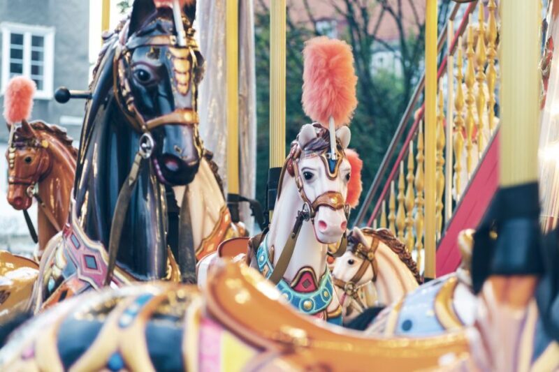 Gdansk 1-Day of Highlights Private Guided Tour and Transport - Who Will Love This Tour?