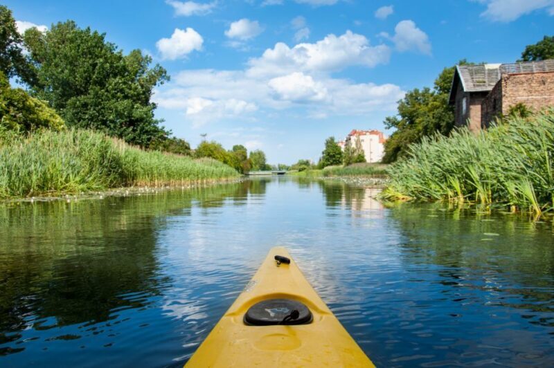 Gdansk: Guided Kayak Tour - Key takeaways