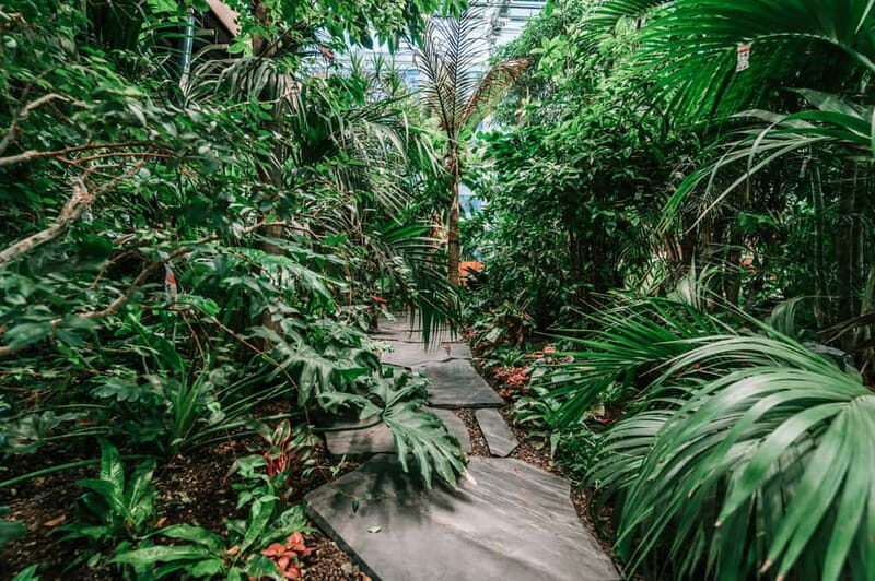 Gdask: Olivia Star Sky-High Views, Dinner, and Cocktails - Final Thoughts