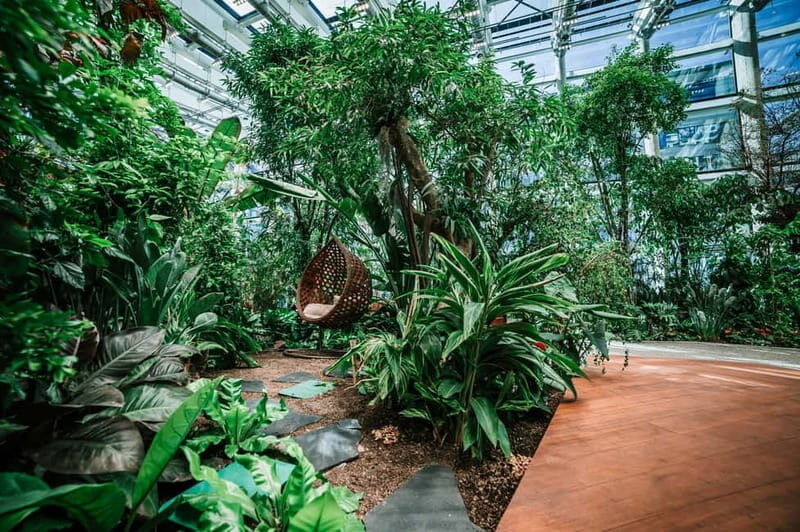 Gdask: Olivia Star Sky-High Views, Dinner, and Cocktails - FAQ