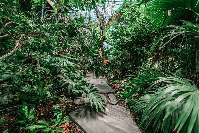 Gdask: Sky-High Views, Dinner&Cocktails - Olivia Star Top Floor - FAQ