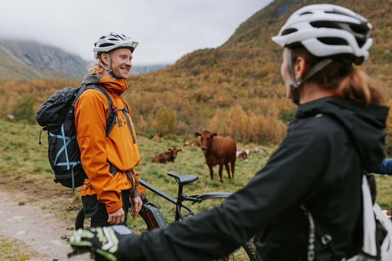 Geiranger: E-Bike and Hike to Haugsetsætra with Local Lunch - Key Points