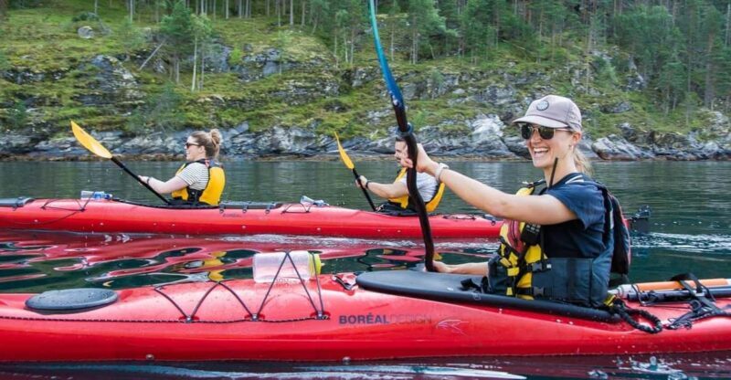 Geiranger: Kayak tour with guide - Why This Kayak Tour Represents Good Value
