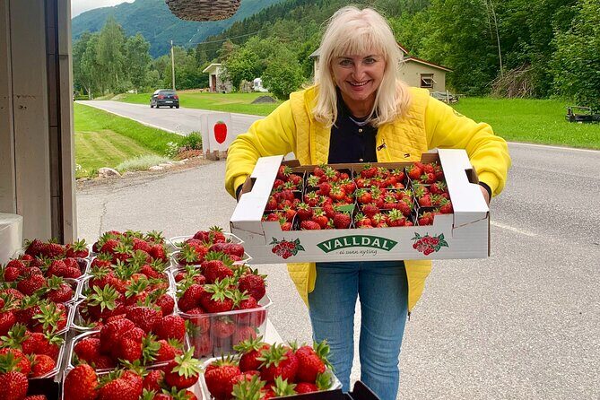 Geiranger-Trollstigen Private Guided Shore Excursion - Overall Value and Experience