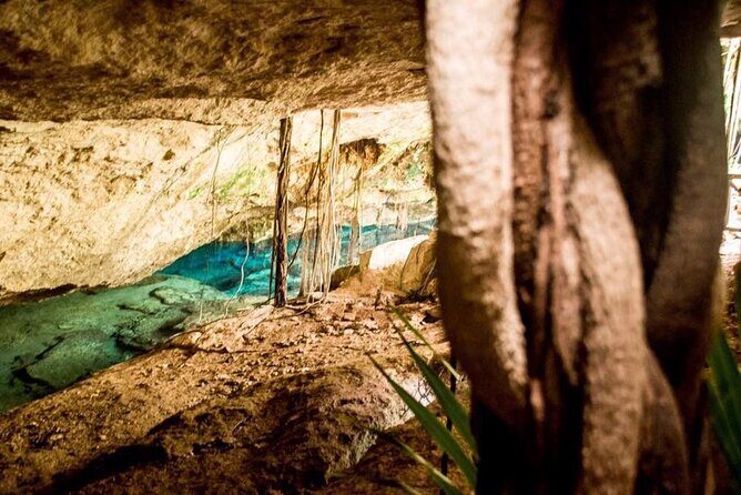 General Admission Ticket to Chikin Ha in Playa del Carmen - Introduction