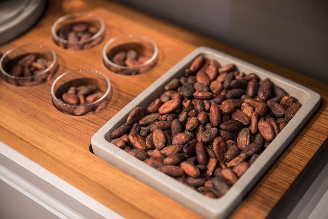 Geneva Chocolate tasting Tour in a Private TaxiBike - A Closer Look at the Tour Itinerary and Experience