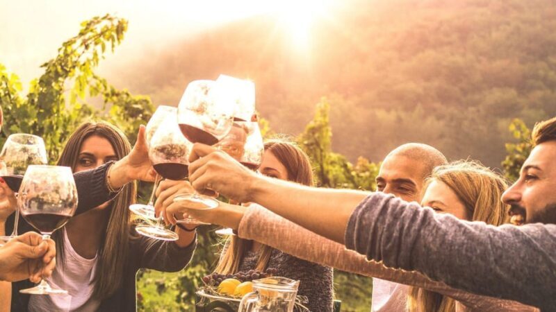 Geneva: Countryside and Wine tasting by E-Bike - Practical Details & What to Keep in Mind