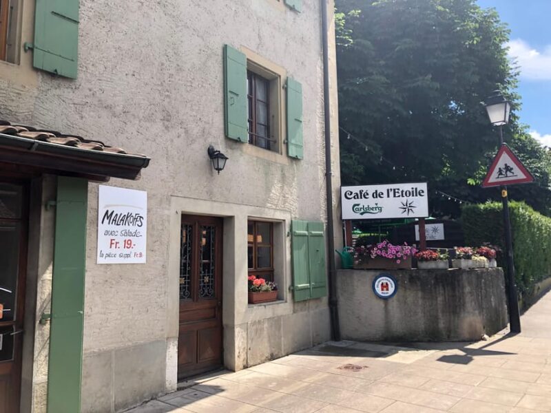 Geneva: Countryside and Wine tasting by E-Bike - The Sum Up: Who is This Tour Best For?