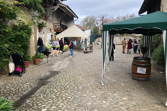 Geneva Countryside By E-Bike With Wine Tasting - The Practical Side: What’s Included and What to Consider