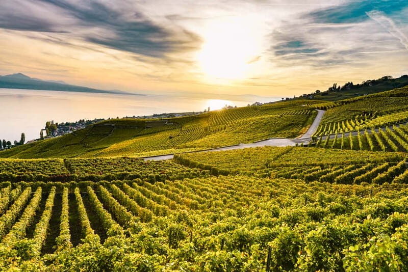 Geneva: Montreux, Chaplins World, Chillon Castle & Apéritif - Key Points