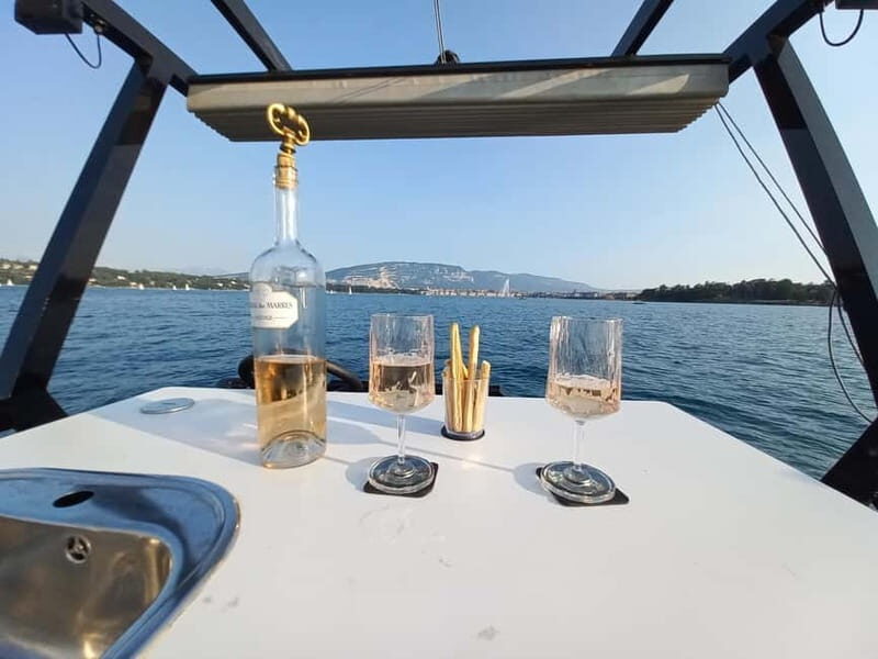 GENEVA: PRIVATE 360° LAKE CRUISE WITH APERITIF - Who Will Love This Experience?