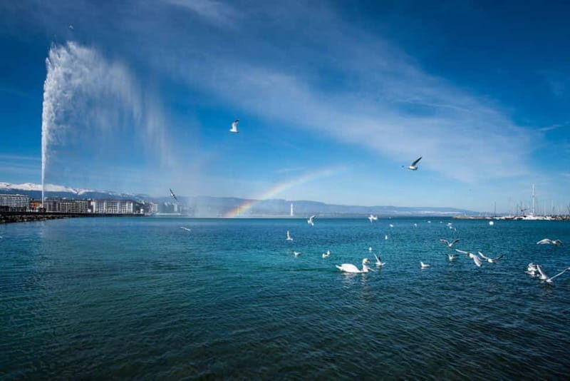 Geneva Walk & Cruise:The secrets of the Jet D'eau & apéritif - Pricing and Value