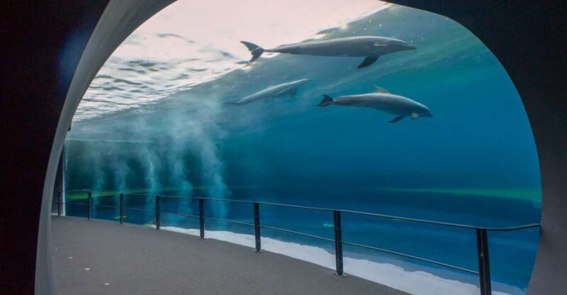 Genoa: Aquarium and FantaCinema Combined Ticket - Exploring the Genoa Aquarium