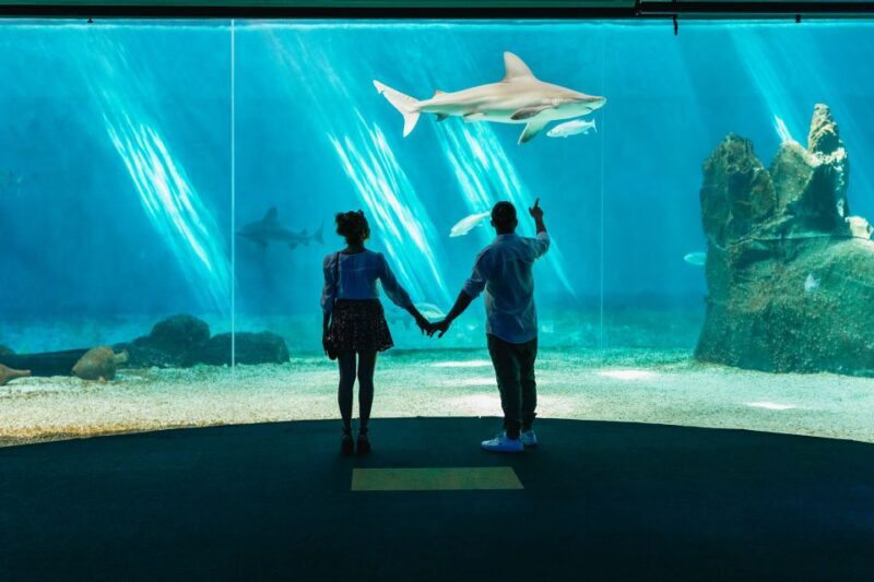 Genoa: Aquarium of Genoa Entry Ticket - Who Will Love This Experience?
