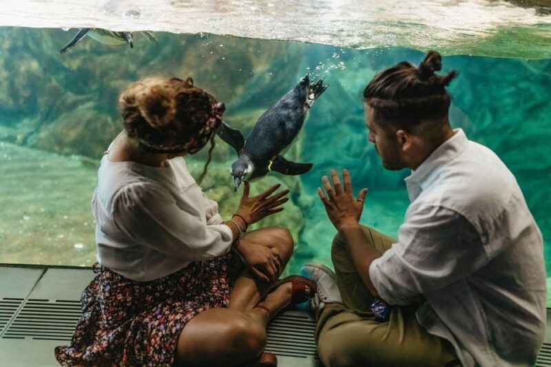 Genoa: Aquarium of Genoa Entry Ticket - The Sum Up