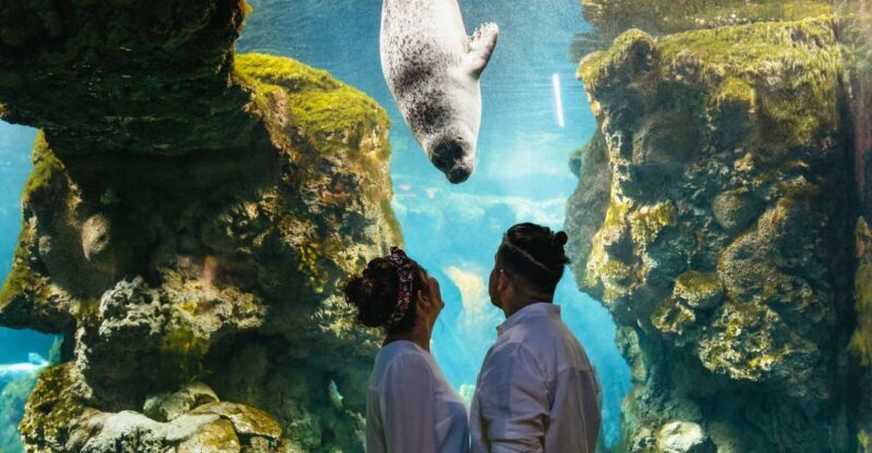 Genoa: Aquarium of Genoa Entry Ticket - FAQ