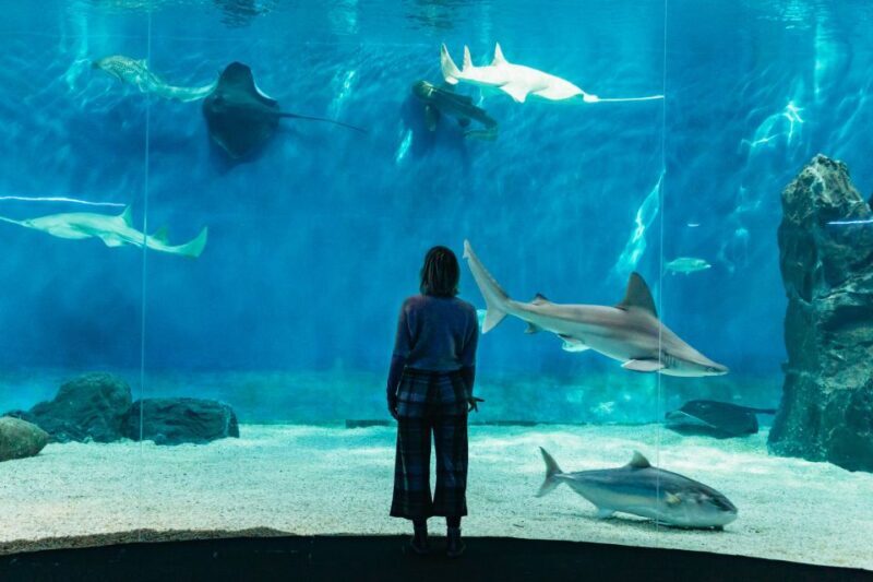 Genoa: Aquarium of Genoa with Lunch - Who Is This Tour Best For?