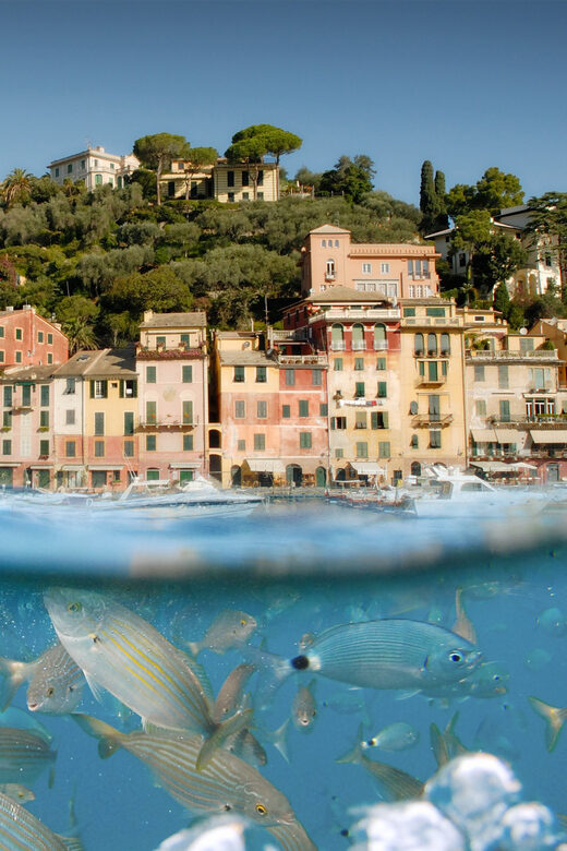 Genoa: Half-Day Tour to Portofino - Introduction