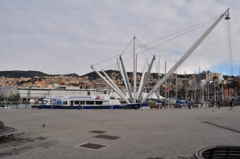 Genoa: Half-Day Tour to Portofino - Authenticity and Unique Aspects