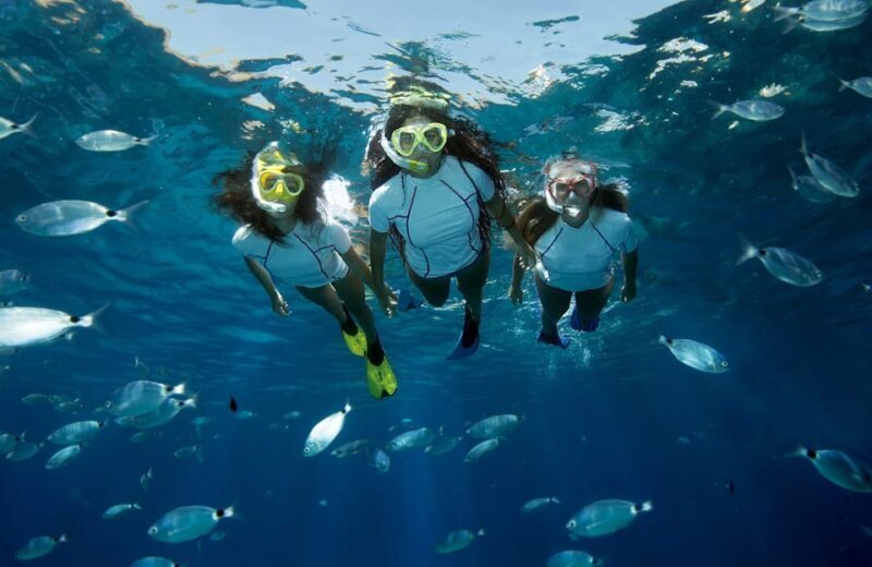 Genoa: snorkeling a stone's throw from downtown - A Detailed Look at the Experience