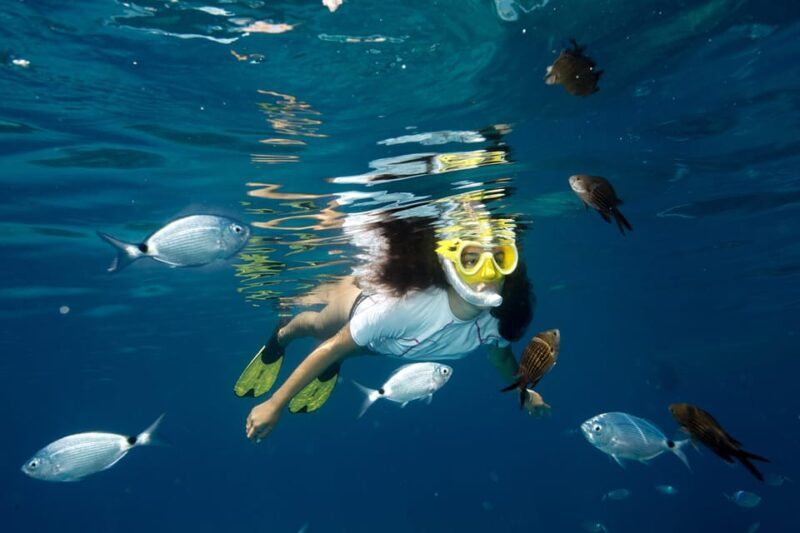 Genoa: snorkeling a stone's throw from downtown - Who Is This Tour Best For?