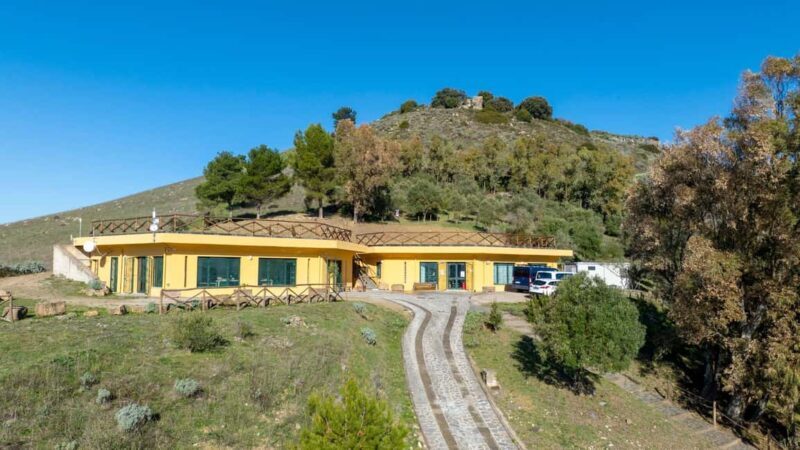 Genoni: discover the Giara Park - Final Thoughts: Is This Tour Worth It?