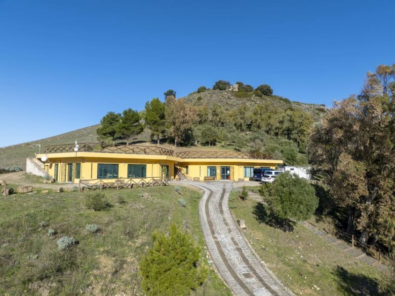 Genoni: PARC Museum Entry Ticket - What to Expect at the PARC Museum