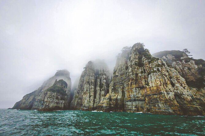 Geoje Oedo Botania Island from Busan - An In-Depth Look at the Geoje Oedo Botania Island Tour