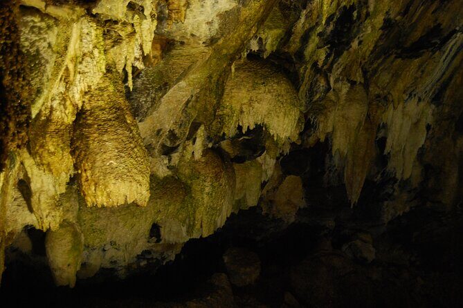 Geology private full day tour - Practical Details