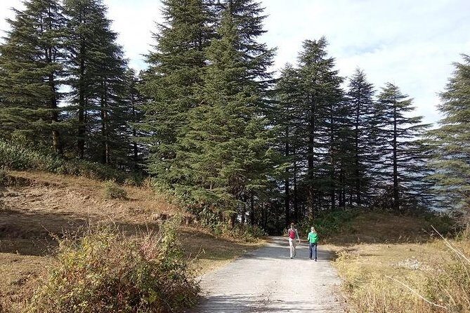 George Everest Nature Walk | Mussoorie - An In-Depth Look at the Experience