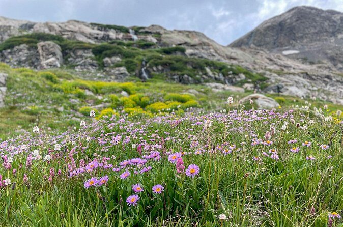 Georgetown via Guanella Pass Private Colorado Adventure Tour - FAQ
