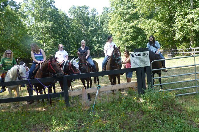 Georgia Horseback Ride with Wine Tasting - Practical Tips for Travelers