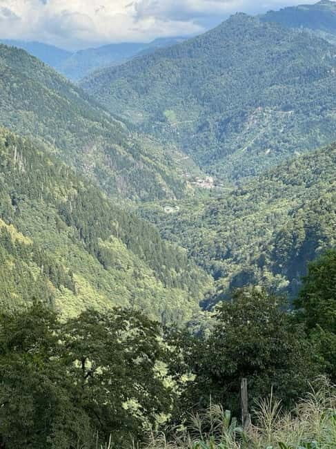 Georgia:Tbilisi, Batumi & batumi Private Tour with Guide - Key Points