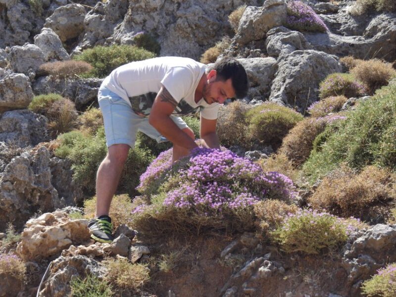 Georgioupolis Full-Day Land Rover Safari Experience - An In-Depth Look at the Georgioupolis Safari