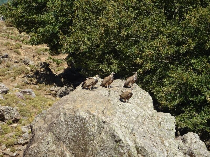 Georgioupolis Full-Day Land Rover Safari Experience - Final Thoughts