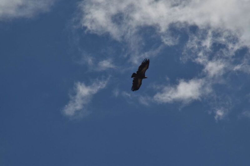 Georgioupolis Full-Day Land Rover Safari Experience - FAQ