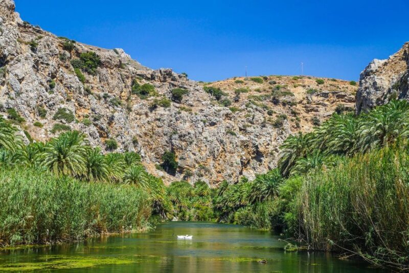 Georgioupolis: Preveli Palm Beach Day Trip by Bus and Boat - Authentic Experiences and Honest Feedback