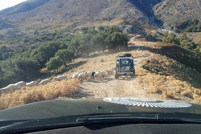 Georgioupolis Safari Off Road Tours Outdoor Activities Land Rover Defender - FAQ
