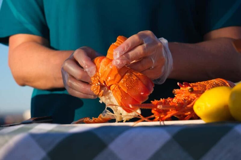 Geraldton: Behind-The-Scenes Ocean Harvest Tour - Exploring Geraldtons Maritime and Seafood Heritage