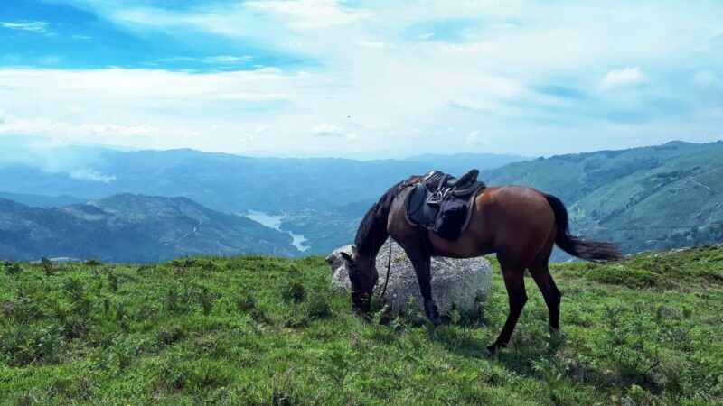 Gerês Braga: Horseback Ride in Peneda Gerês National Park - What to Expect from Your Horseback Ride Experience