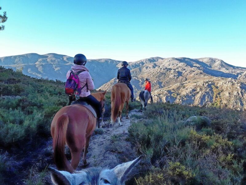 Gerês Braga: Horseback Ride in Peneda Gerês National Park - Practical Details and Considerations
