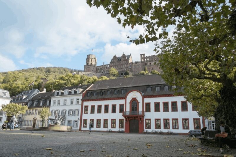 Germany: Excursion from Frankfurt to Heidelberg - Who Would Enjoy This Tour?